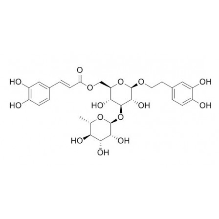 Isoacteoside