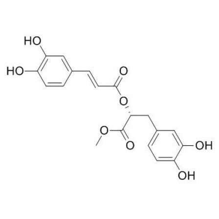 Methyl Rosmarinate