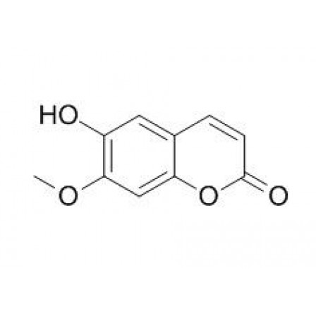 Isoscopoletin