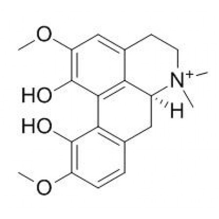 Magnoflorine