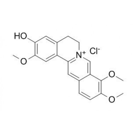 Jatrorrhizine Hydrochloride