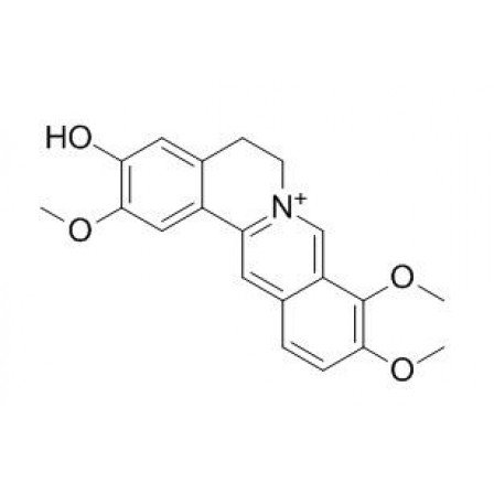 Jatrorrhizine