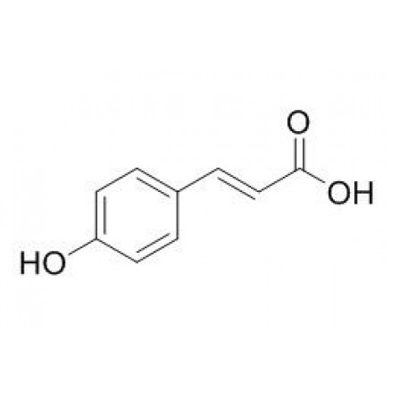 Trans-4-Hydroxycinnamic Acid