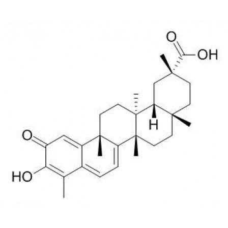 Celastrol