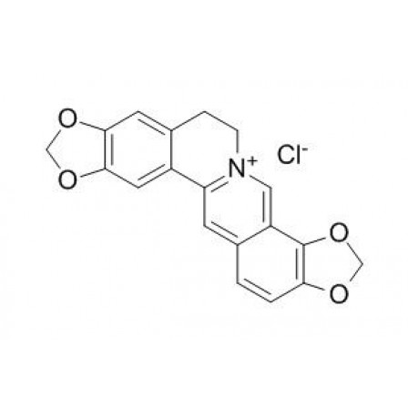Coptisine Chloride