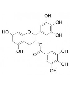 (-)-Epigallocatechin Gallate