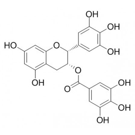 (-)-Epigallocatechin Gallate
