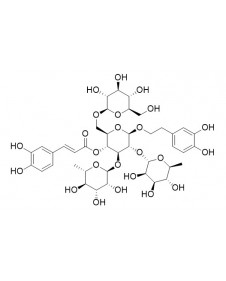 2'-Rhamnoechinacoside