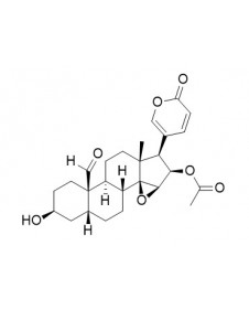 19-Oxocinobufagin
