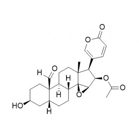 19-Oxocinobufagin
