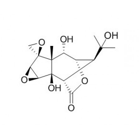 Isohyenanchin